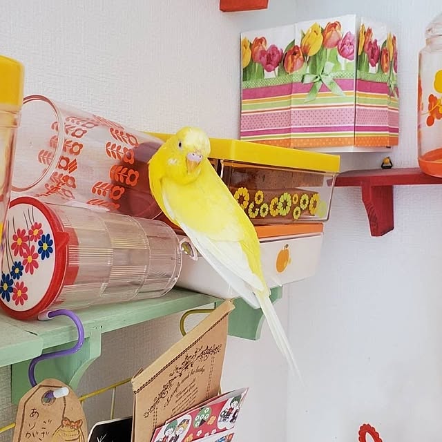 pastryさんの実例写真