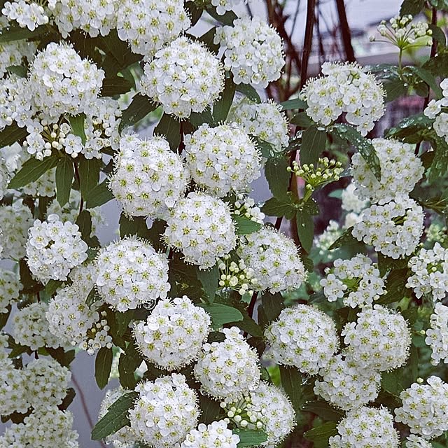 mocomocoさんの部屋