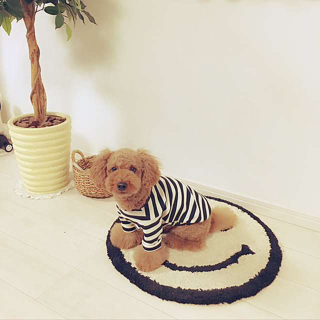 cocoaさんの実例写真