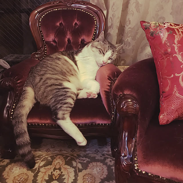 emmyyさんの実例写真