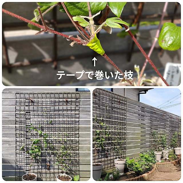 ryomomさんの実例写真