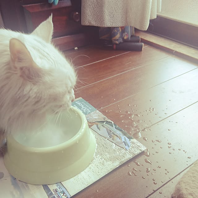 YUKIさんの実例写真