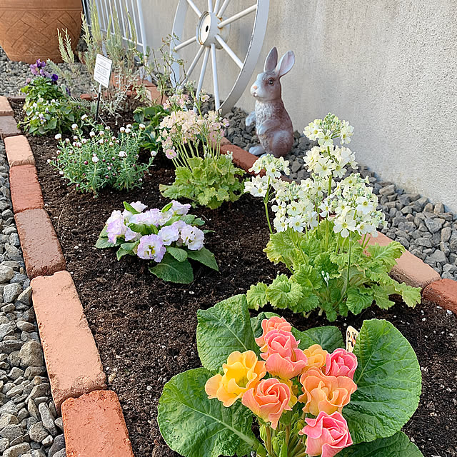 koko_hikaさんの実例写真