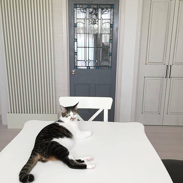 yuchiさんの実例写真