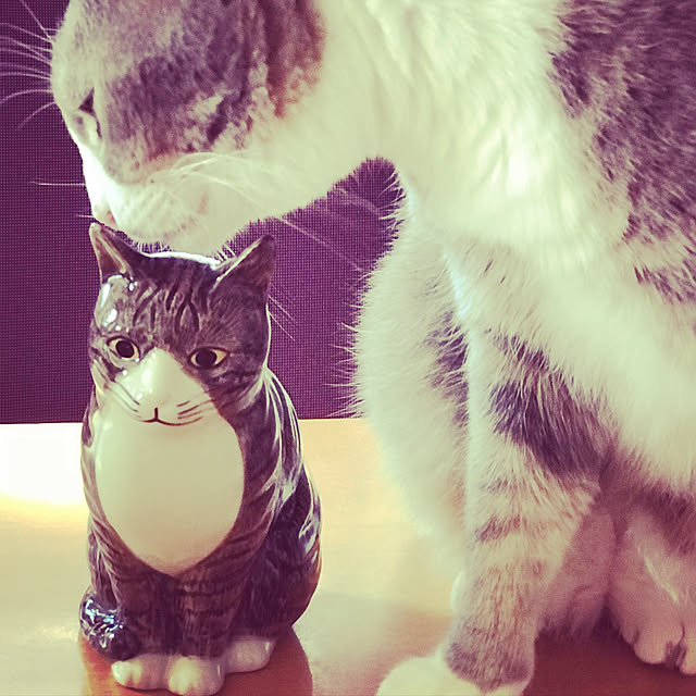 Yokoさんの実例写真