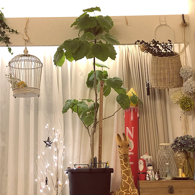 ruru0918さんの実例写真