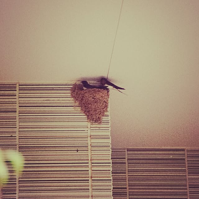 mikiさんの実例写真