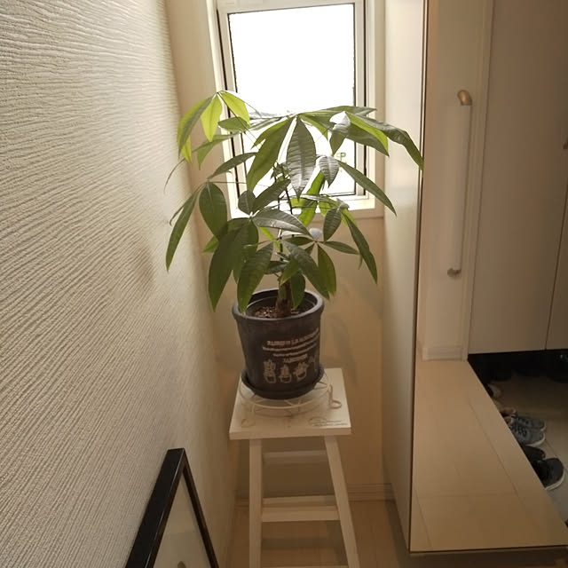 shinn4781さんの実例写真