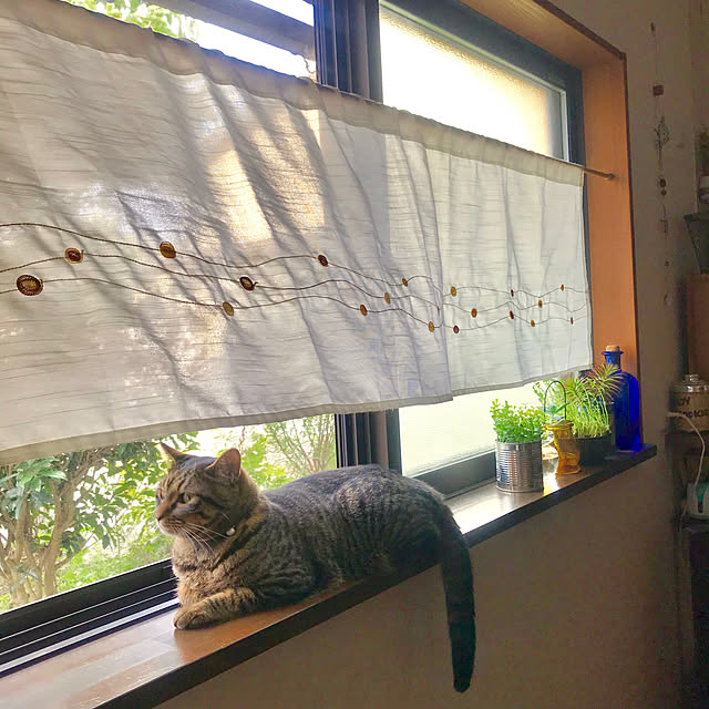 maruさんの実例写真