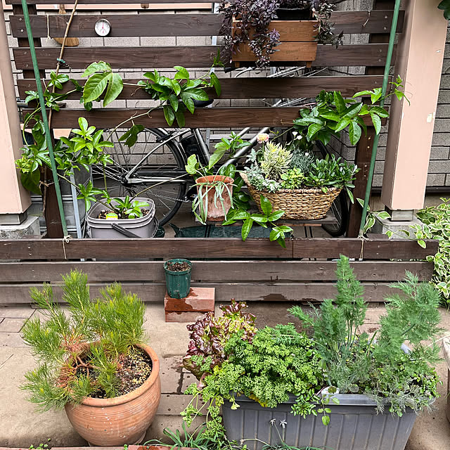 botanさんの実例写真