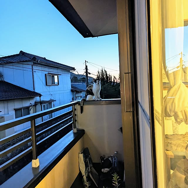 uchizukonyanさんの実例写真