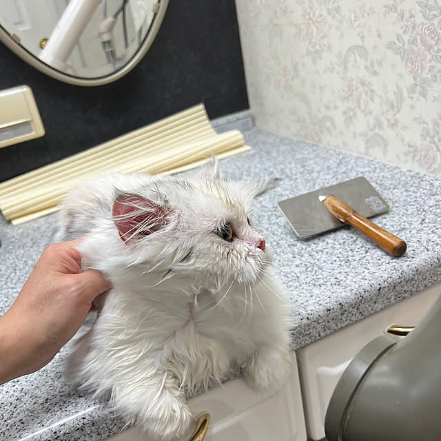 AYUKOさんの部屋