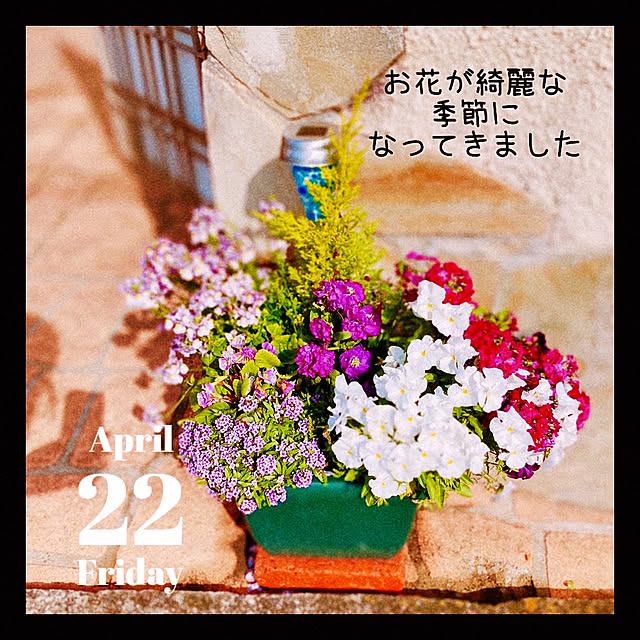 Mayさんの実例写真