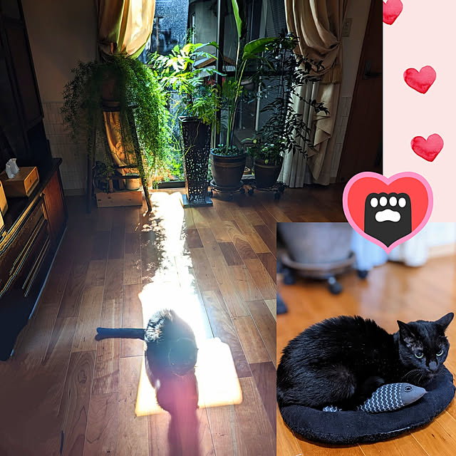 aromameさんの実例写真