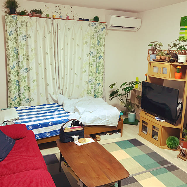 部屋全体/ナチュラルインテリア/みどりのある暮らし/DIY/一人暮らし...などのインテリア実例 - 2017-09-06 02:36:15