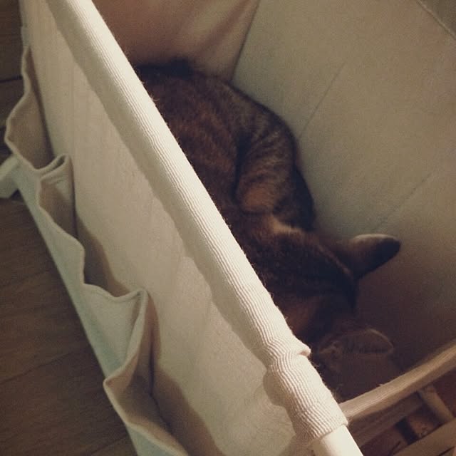 kanaさんの実例写真