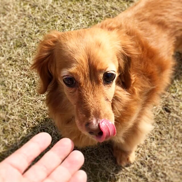 sakuさんの実例写真