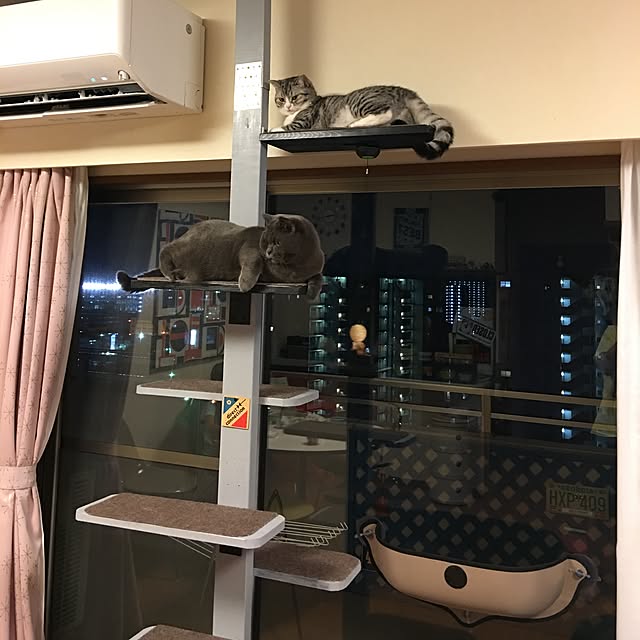 Shojiさんの実例写真