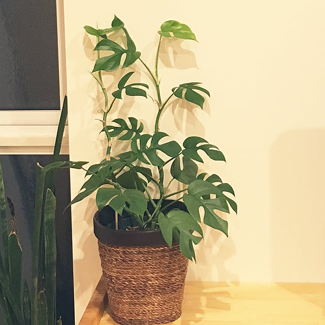 Dさんの実例写真