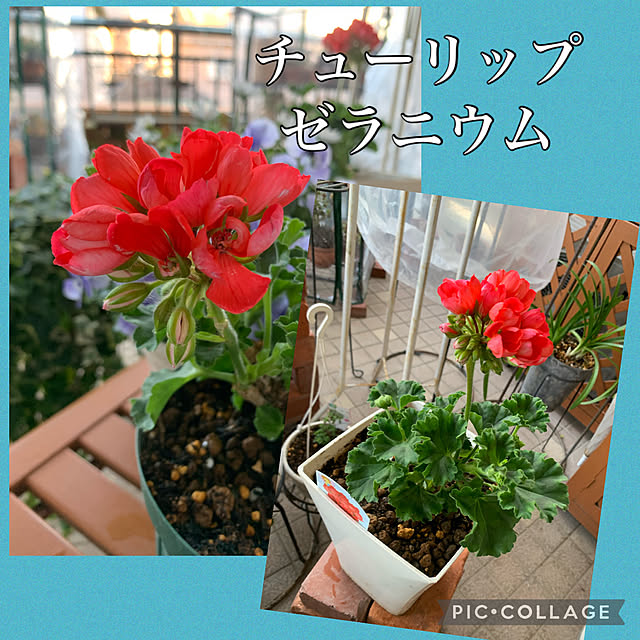 Aqettyさんの部屋