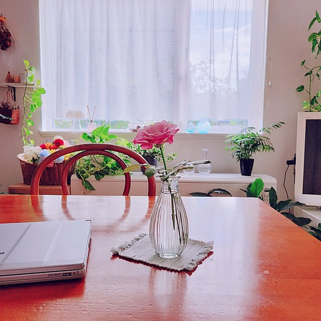 surviveさんの部屋