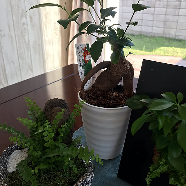 msさんの部屋
