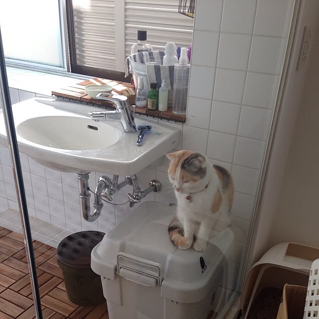 takeruTKさんの実例写真
