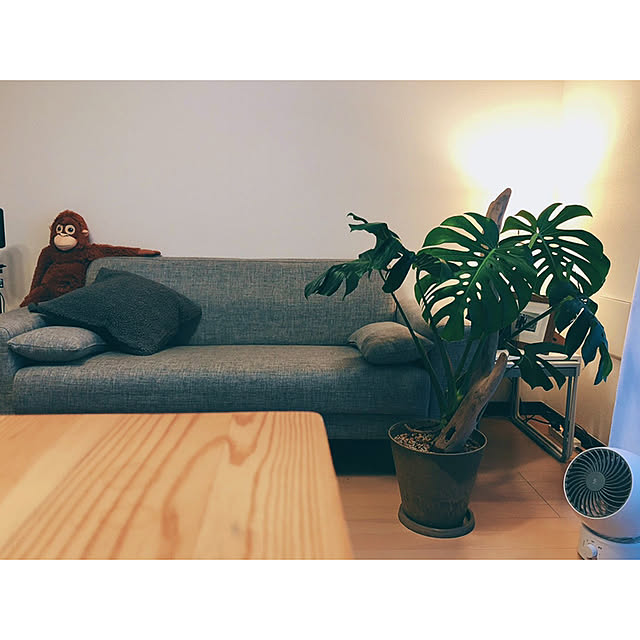 otsuka.jctさんの実例写真