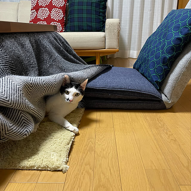 nobikoさんの実例写真