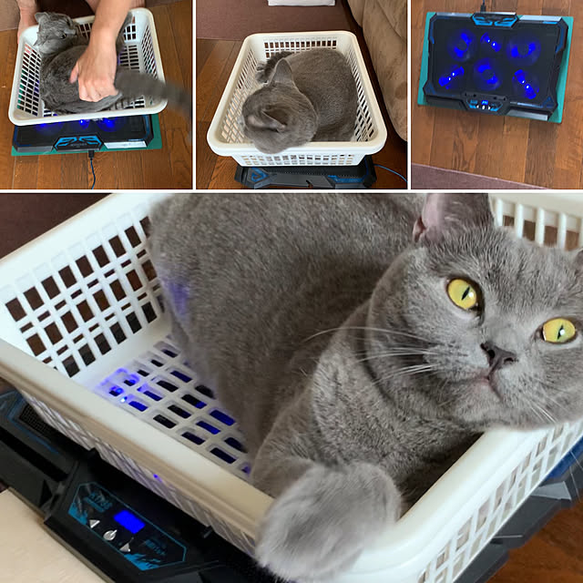 masaさんの実例写真