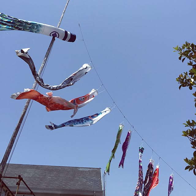 kouanmakiさんの実例写真