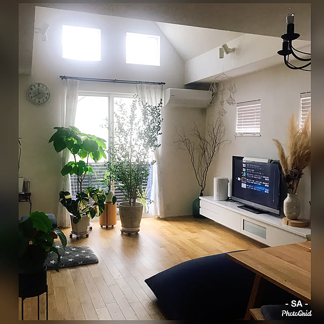 植物のある暮らし/観葉植物/シンプルモダン/ウニコ/2階リビング...などのインテリア実例 - 2021-03-13 12:02:23