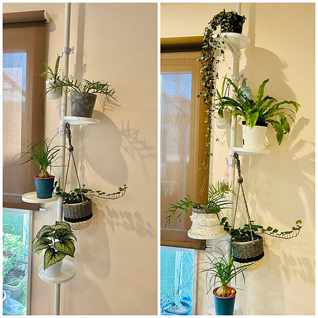 mei617830さんの実例写真