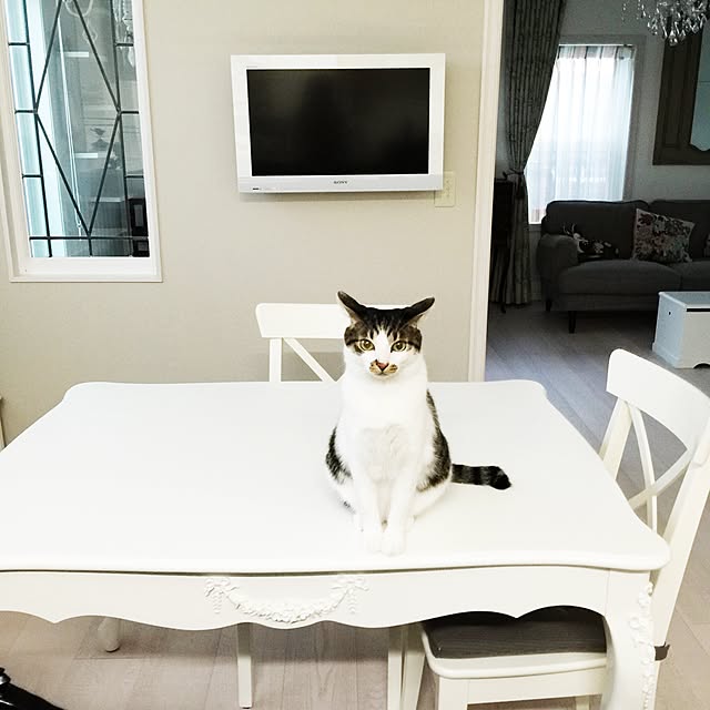 yuchiさんの実例写真