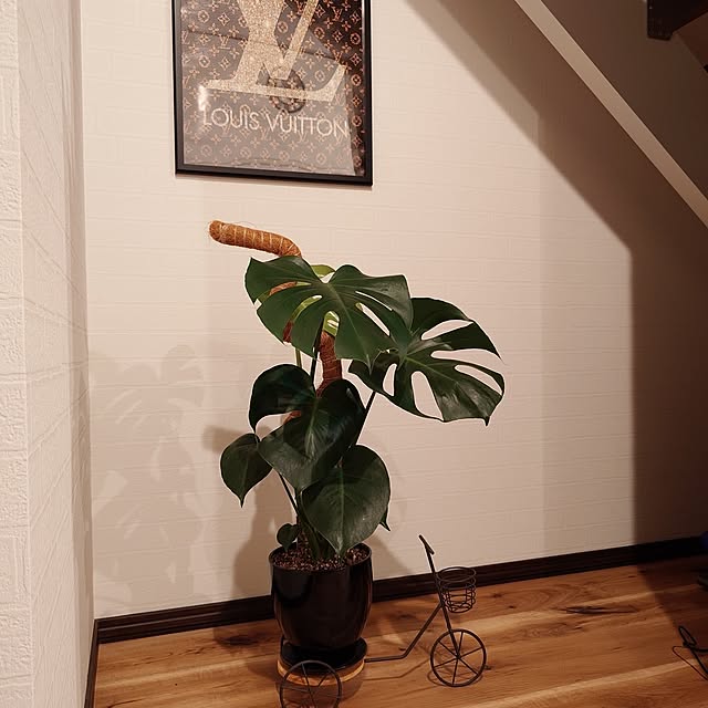 masayo36さんの実例写真