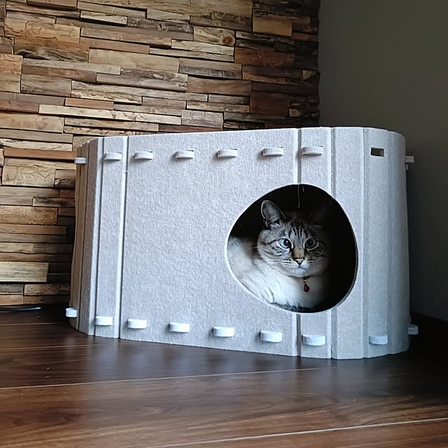 Atelier_tamakiさんの部屋