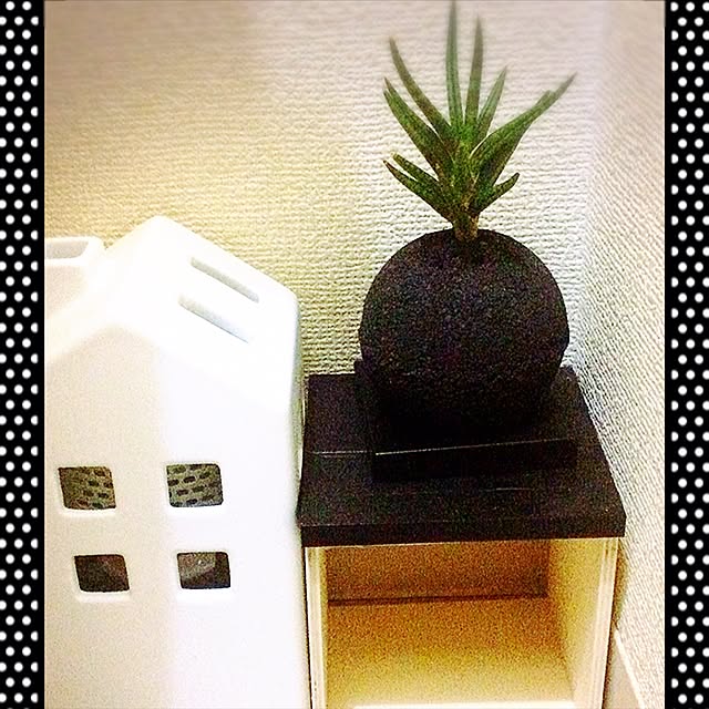 ayuranranさんの実例写真