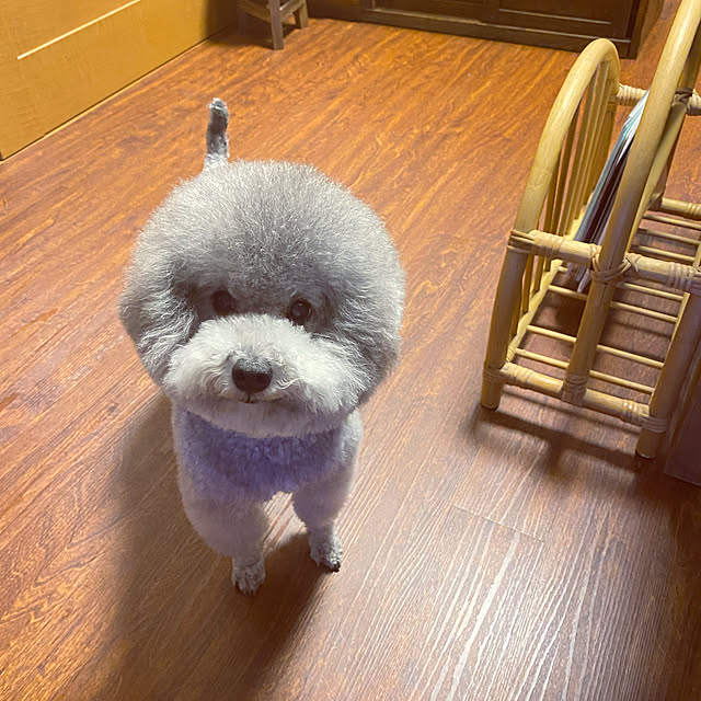 meguko.ryanさんの実例写真