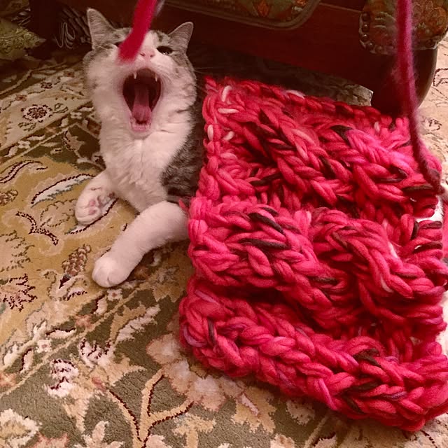 emmyyさんの実例写真