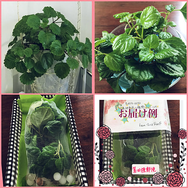 kimuraruさんの実例写真