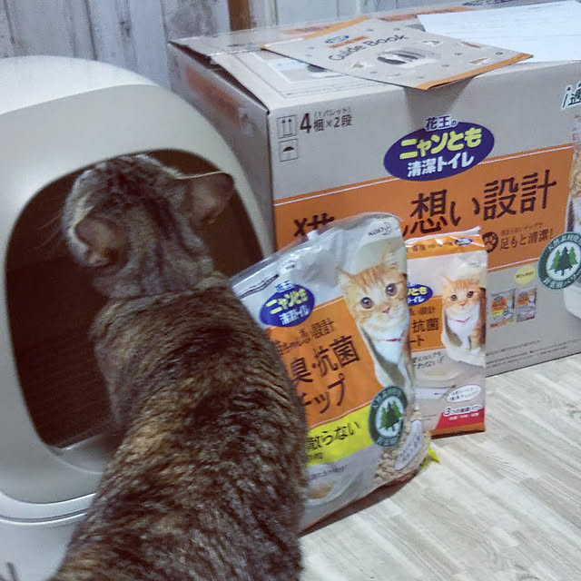 runaさんの実例写真
