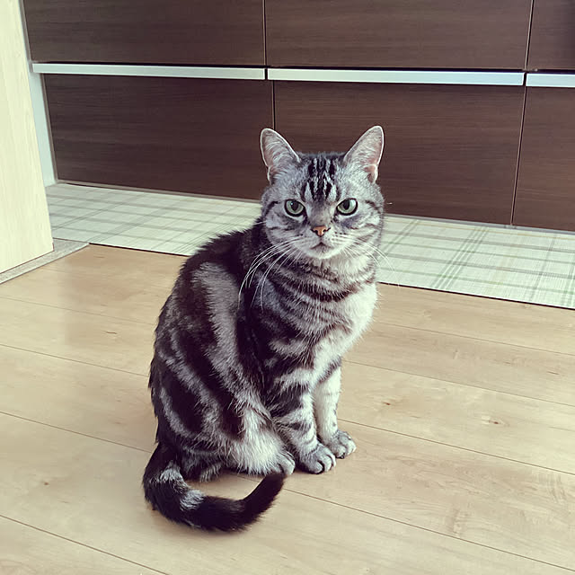 richanさんの実例写真