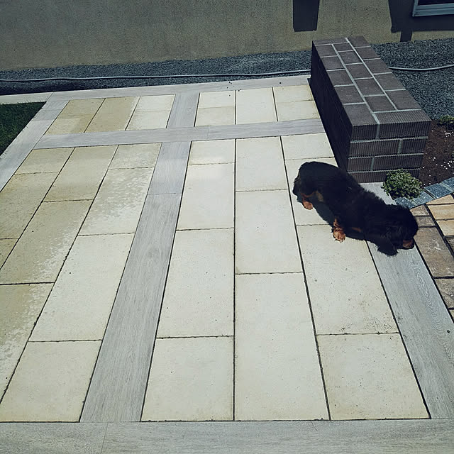 papiさんの実例写真