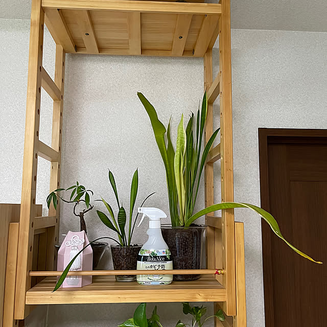 kikiさんの部屋