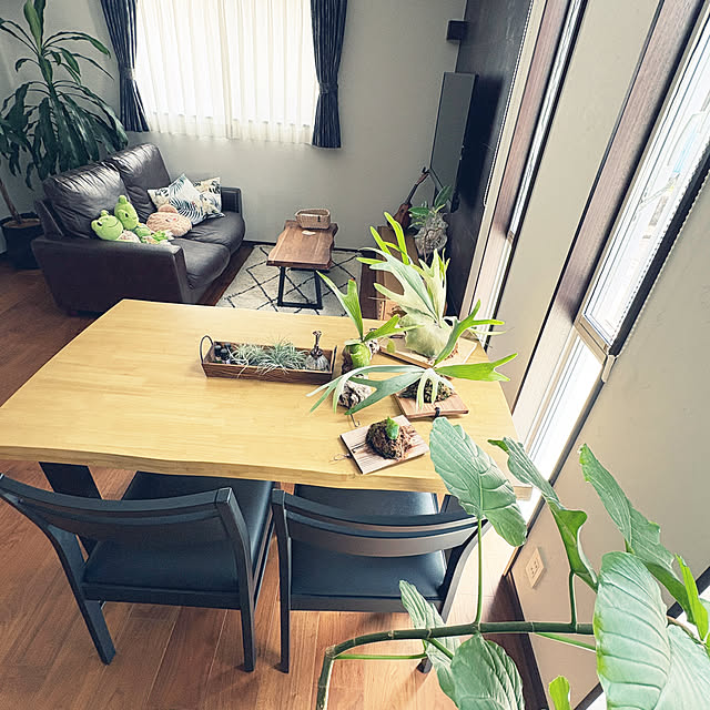 ikupyonさんの部屋
