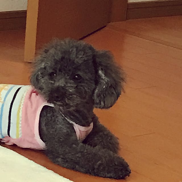 makkoさんの実例写真