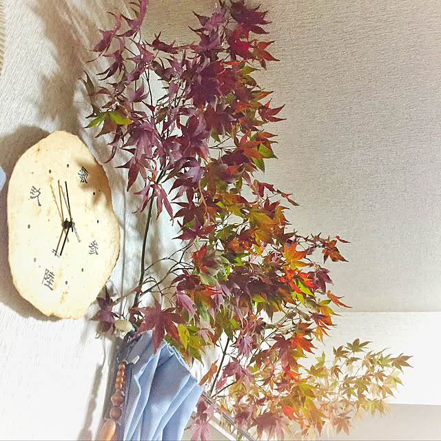 RIERINさんの実例写真