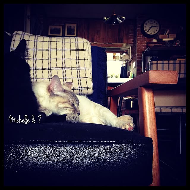 Naoki.さんの実例写真