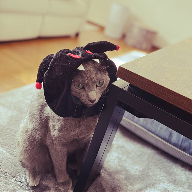 kyonさんの実例写真