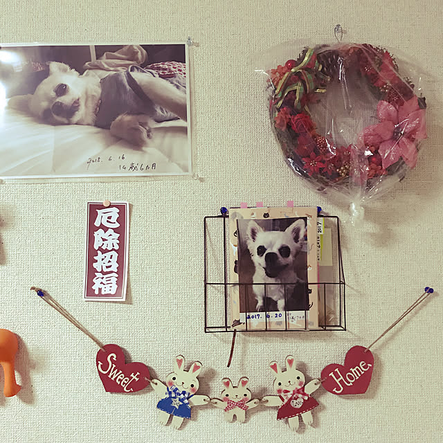 emiさんの実例写真